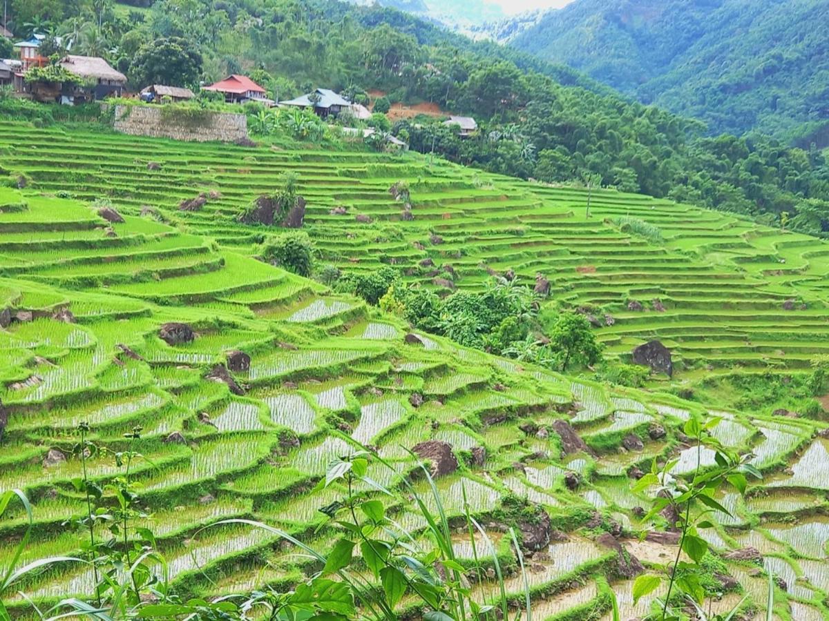 Nha Tan - Mai Chau Homestay And Tours Exterior photo